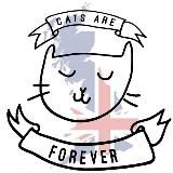 Логотип @catsareforeveruk1 - Мир Деловых Мурзилок 🇷🇺