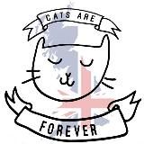 Логотип @catsareforeveruk2 - Британская мурзилка 2 🇷🇺