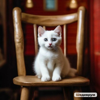 Логотип @catshoouse - Кошкин Дом 🐈