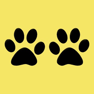 Логотип @catshouserules - Правила дома кошек