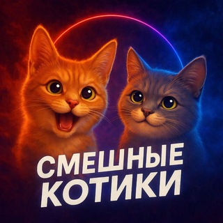 Логотип @catsmanya - Смешные коты | котики | котята