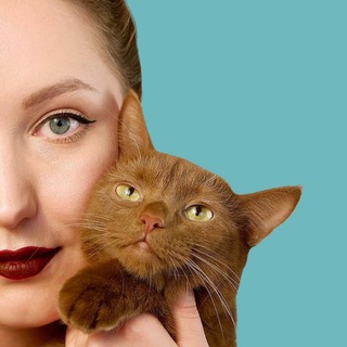 Логотип @cattalk_channel - CatTalk зоопсихолог