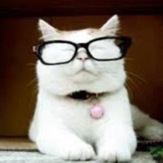 Логотип @catturd2uncensored - Catturd ™