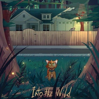 Логотип @catwarriormeoww - Warrior Cats / Коты–Воители / каты ваитили/ каты вадитили/ каты страитили / кошечки воины / плоники стаи / warriors cats / каты