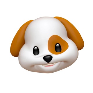 Логотип @cavalierkingcharles_lovedog - ♔ КАВАЛЕР КИНГ ЧАРЛЬЗ СПАНИЕЛЬ! ЩЕНКИ ККЧС 🍃🌸