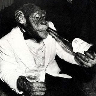 Логотип @cavernadocalvao - Caverna do Calvão - Le Gan Resenhè