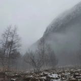 Логотип @cayome - а закат был ал
