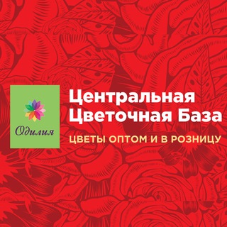 Логотип @ccb_tg - Центральная Цветочная База