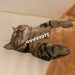 Логотип @cchats - Чччччччатс