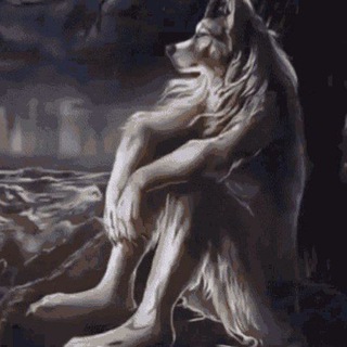 Логотип @ccomlol - ваутитс