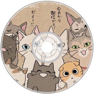 Логотип @cdkit - Диск с котятами 🐾