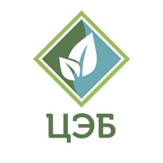 Логотип @ceb31 - ООО «ЦЭБ» Белгородской области