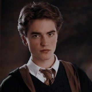 Логотип @cedricdiggory_hufflepuf - Diggory's diary.