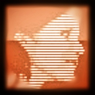 Логотип @ceiberweiber - Alexandra Bader