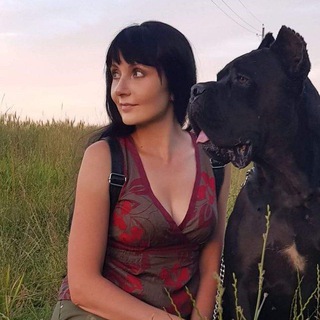 Логотип @celebrity_starlet - CELEBRITY STARLET Кане-корсо | Питомник и экспертное сопровождение владельцев собак