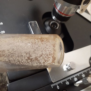 Логотип @cellarbrew - CellarLab