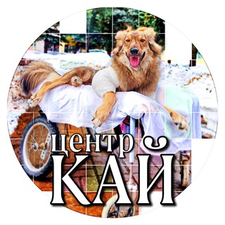 Логотип @center_kay - Центр «КАЙ» 🐾🦽