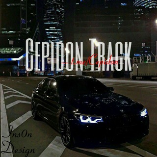 Логотип @cepidon - Cepidon Track🚀