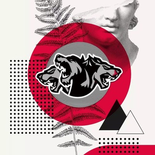 Логотип @cerberus_project - 𝙲𝚎𝚛𝚋𝚎𝚛𝚞𝚜 𝙿𝚛𝚘𝚓𝚎𝚌𝚝 🇺🇦 🌐 🇷🇺