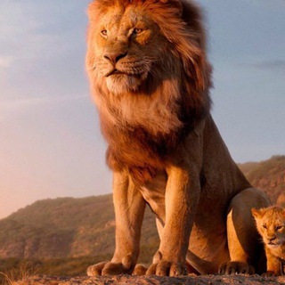 Логотип @cerclelions974 - Le Cercle Des Lions 974