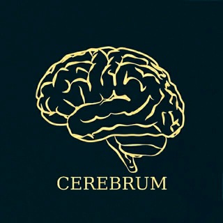 Логотип @cerebrum_chat - Regio Wérnicke