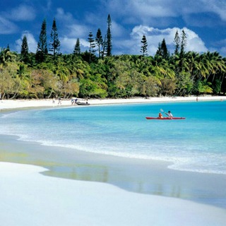 Логотип @cestcool - 🌷⚘Liberté 😁