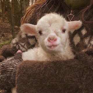 Логотип @cewvvca - 𓇢𓆸 садовница