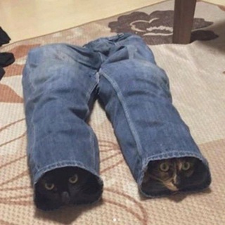 Логотип @chabtichek - 😸НЕ ВСТУПАТЬ, тех. чат!!!😸