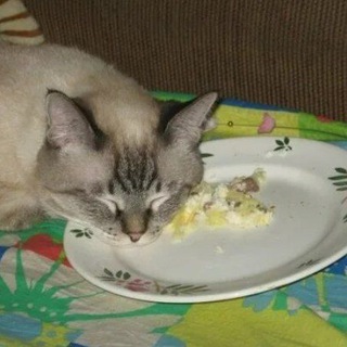 Логотип @chachachata - Что-то нормальное