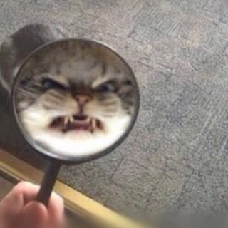 Логотип @chainikorka - чайник орка