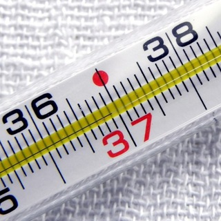 Логотип @chanel369 - 36.9