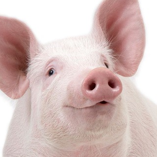 Логотип @changing81 - Деньги есть везде