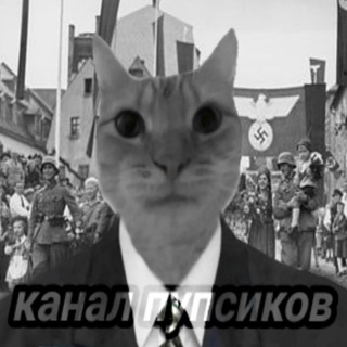 Логотип @channel_zalypapupsiki - Дорогиетоварищибыстраподнялиактив
