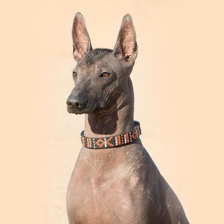 Логотип @chantico_hot - Chantico On Air