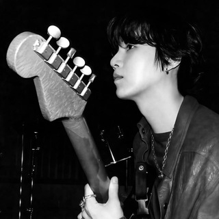 Логотип @chapdann - дневник черепахи