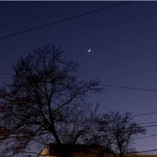 Логотип @chariik2006 - Chara