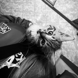 Логотип @charxwwl - треки из тик тока