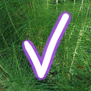 Логотип @chastnoe_na_raznoe - Жизнь на своей волне