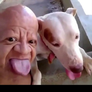 Логотип @chat0108 - Чат -обезбашен😱😈