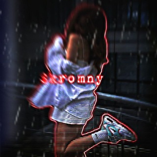 Логотип @chat166 - SvO- WAGNER