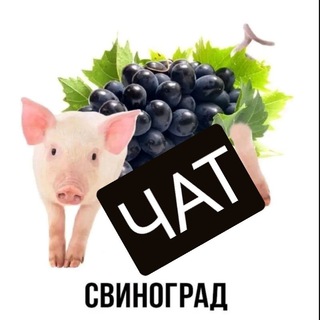 Логотип @chat4ebyr2shk2s - QQ Standof | Chat🎃