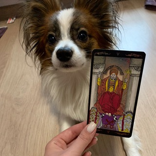 Логотип @chat_astrologa - ЧАТ АСТРОЛОГИНЬ 🔥