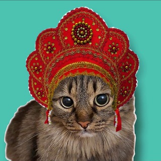 Логотип @chat_berech_rech - Чат «Беречь речь»: откройте две форточки