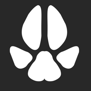 Логотип @chat_best_home_pets - ZVEREK Chat