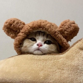 Логотип @chat_bonni - Бонькин канальчик