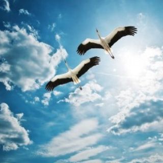 Логотип @chat_budempomnit - Чат "Будем помнить" 🎖️