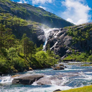 Логотип @chat_dv - 🌏ЧАТ ДАЛЬНИЙ ВОСТОК