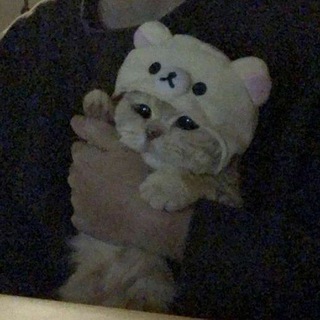 Логотип @chat_ellite - [Элита]【✔】🥵