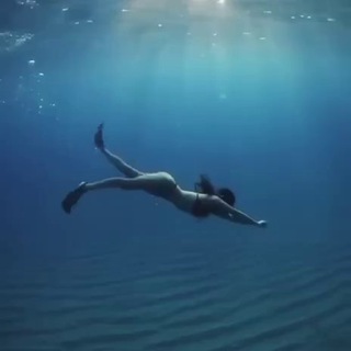 Логотип @chat_fitness - 🫶 Fitness Chat