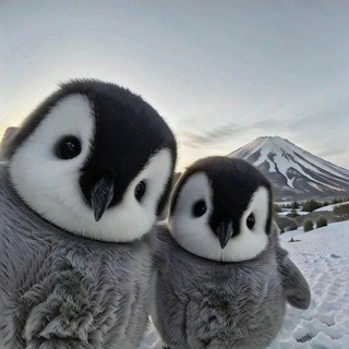 Логотип @chat_fqmal - Чатик mal'a